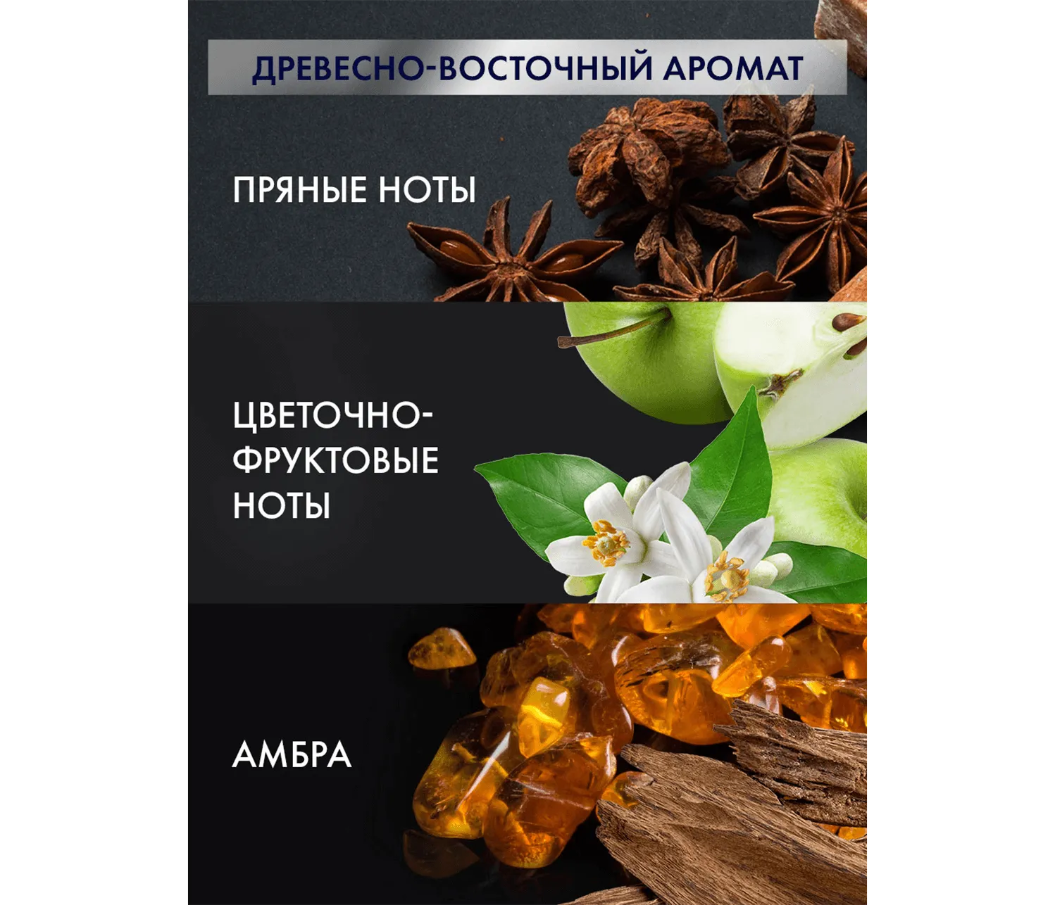 Фото 3:  Шампунь Derma Expert укрепляющий Энергия роста 1 л